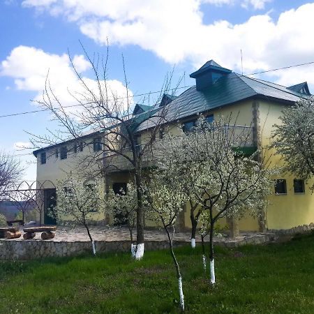 Fata Verde Soldanesti Exterior foto
