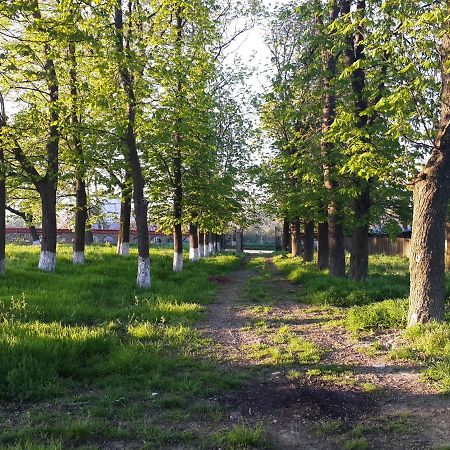 Fata Verde Soldanesti Exterior foto