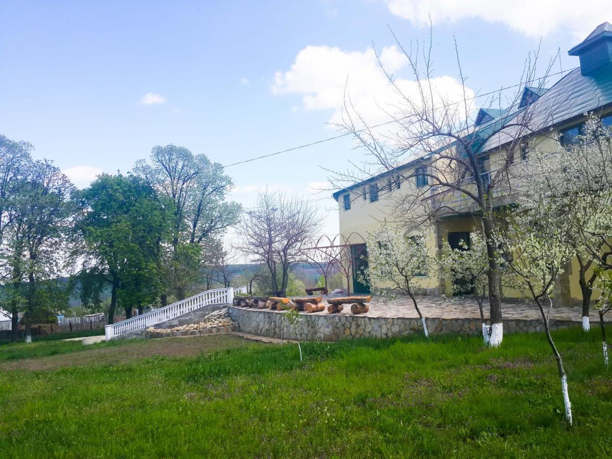 Fata Verde Soldanesti Exterior foto